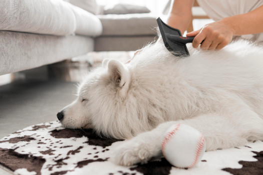Grooming accessories